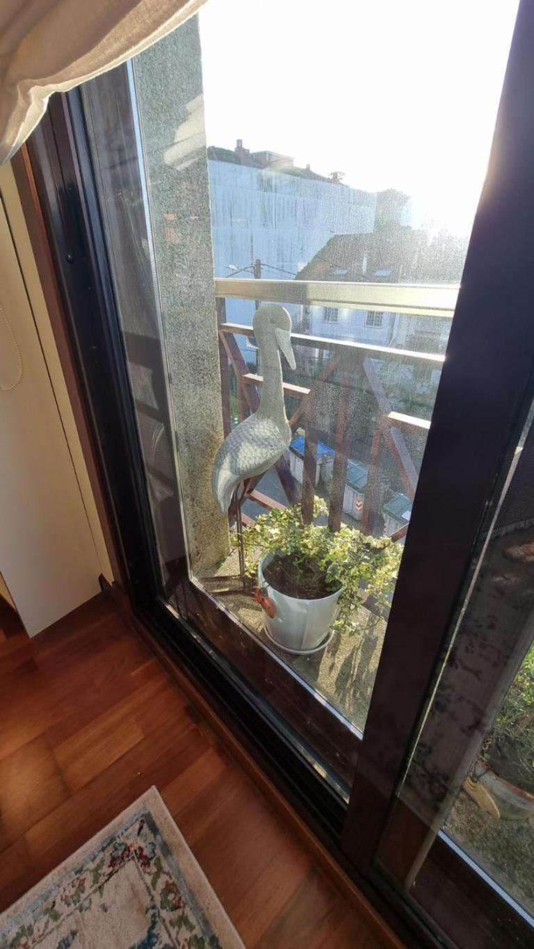 Apartamento 1 Dormitorio 4 Personas En El Grove О-Грове Екстер'єр фото